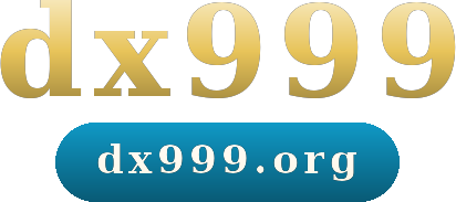 dx999 logo